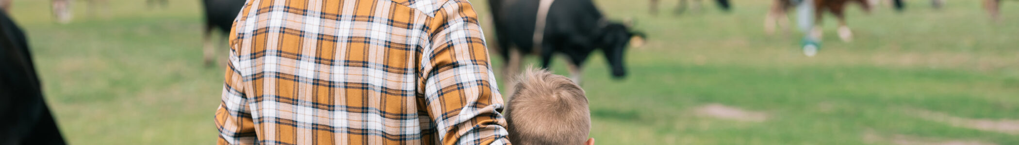 Kansas Farm Injuries