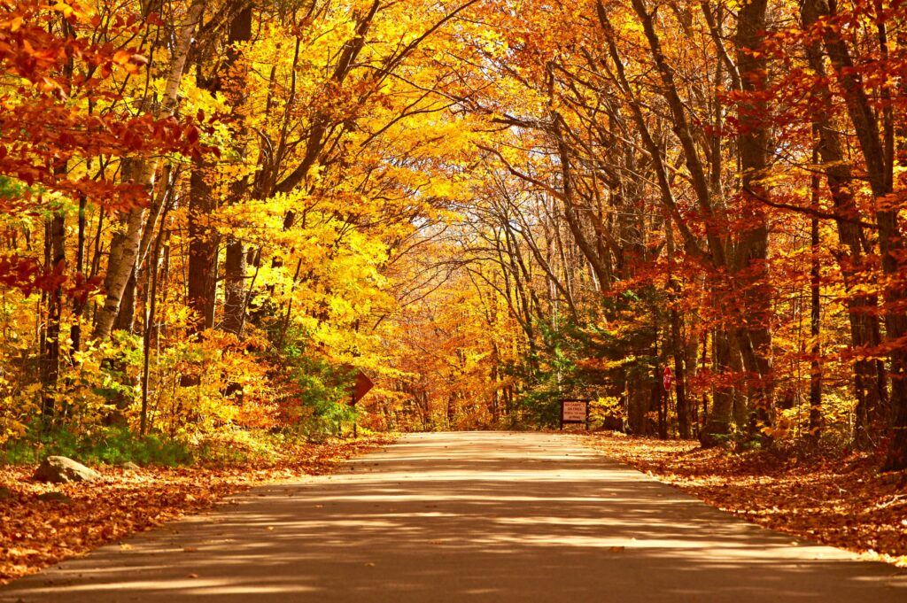 autumn accidents