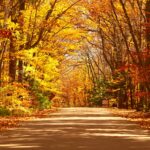 autumn accidents