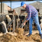 5 Common Farm Accidents and How to Avoid Them
