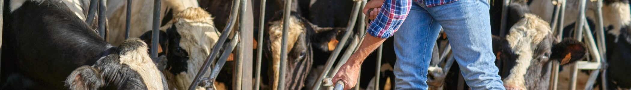 5 Common Farm Accidents and How to Avoid Them