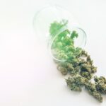 Patterson Cannabis Awareness Month: 5 Personal Injuries Caused by Marijuana Use