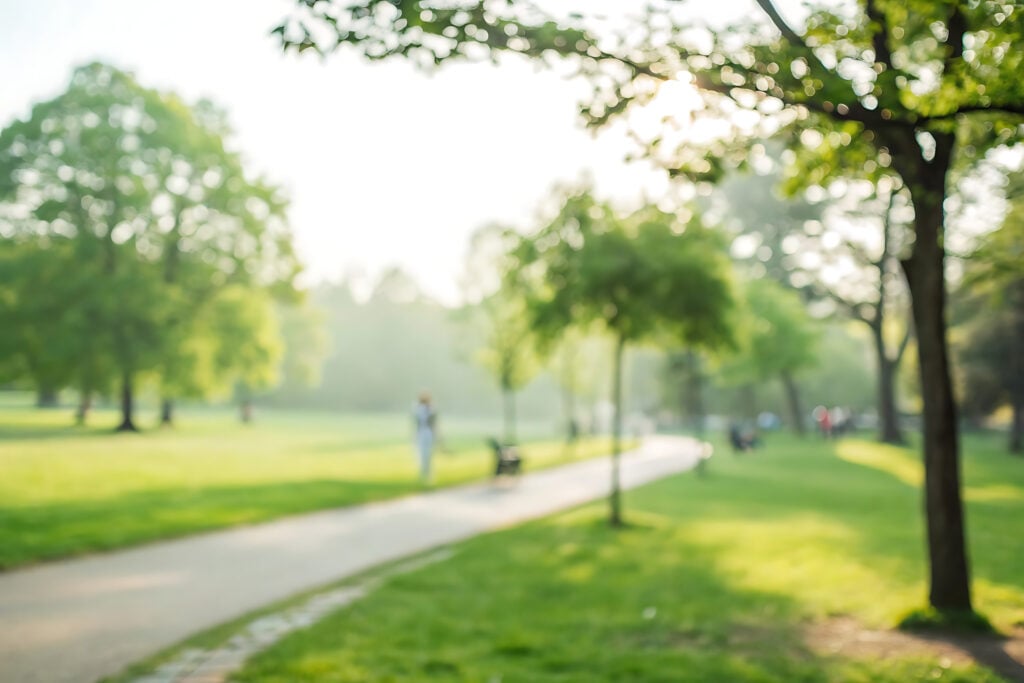 Park Injury Liability: Who is Responsible?