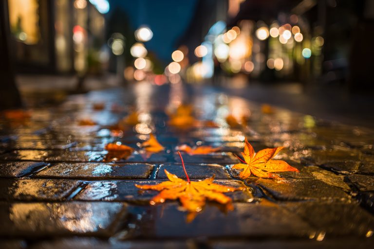 Wichita Fall Nightlife Slip and Fall Claims